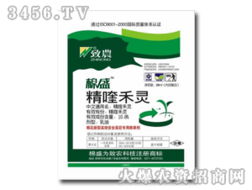 三、 几个热门品牌，我来给你推荐一下