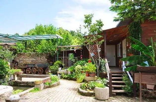 北京怀柔民宿的网红庭院， 用植物打造美景