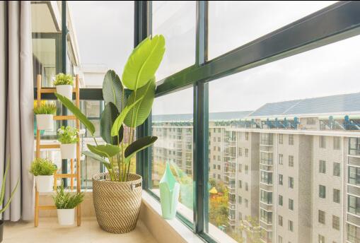 上海农房种菜， 夏季蔬菜种植技巧