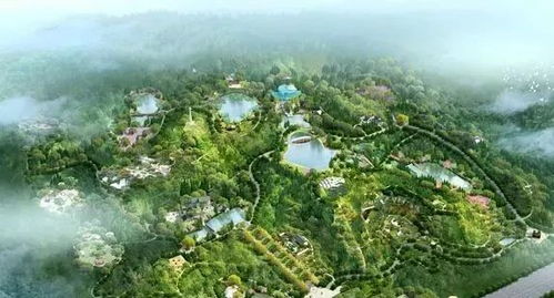 水土保持的小嫩手