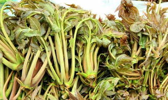 野菜之王是哪一种？你尝过它的独特风味吗