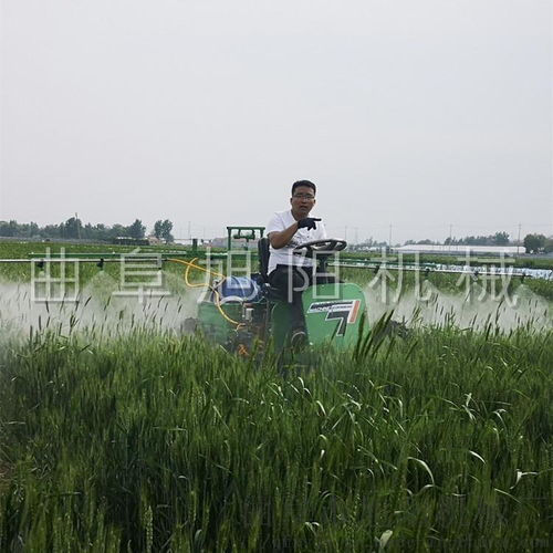掌握除草打药黄金期，农田管理更高效