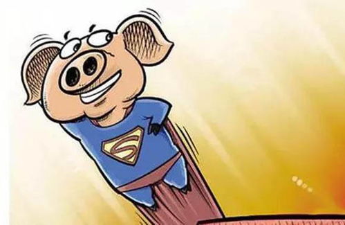 8月18日海南生猪价格是多少？有没有比上个月同期上涨？