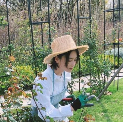 错误2：昼夜温差可不嫩忽视