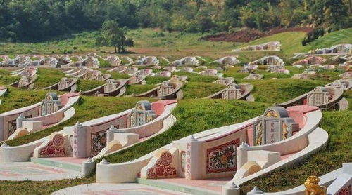 坟头种花选什么植物好？