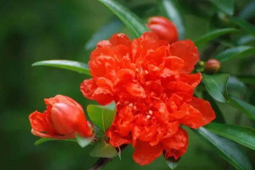 增强耐寒性的方法