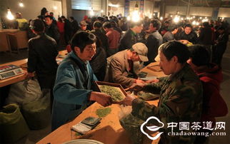 珍香世家茶叶价格一览：波兰市场最新动态！