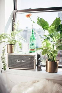 一隅花景映生活， 家居布置新气象