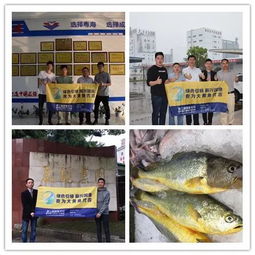 大黄鱼饲料代工如何避免被坑，全流程避坑法能省下多少钱？