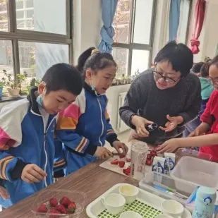 种子发芽后如何进行科学养护