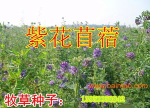 这里有个隐藏知识点