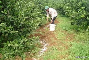 春季：萌芽前的营养盛宴