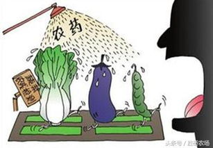 对症用药， 掌握关键期