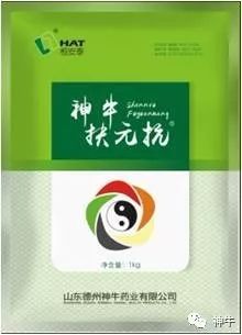 非瘟常态下，猪场拔牙术成养猪必备技能