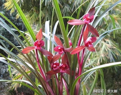 低成本环境调控方案对比