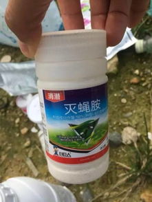 喷洒杀虫剂的好处和坏处