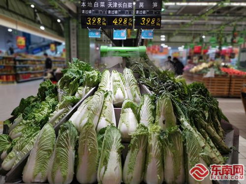 哇塞，超市种菜？这不是天方夜谭嘛！