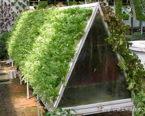 室内栽培如何高效利用自然光？如何解决光照不足的问题