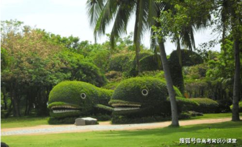 园艺科技：是园艺还是科技？