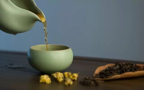 茶叶菊花可同泡？口感最佳泡法是