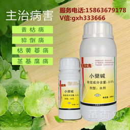 甲霜灵，菜苗的救星？还是一场无用的冒险？