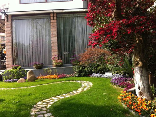 挑选适合庭院种植植物