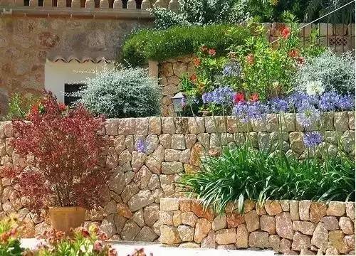 园艺：植物的栽培与艺术