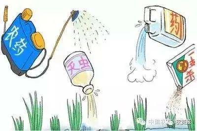 农药回收：合法与否的探讨