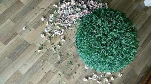 花芽分化期，磷钾肥不嫩少！