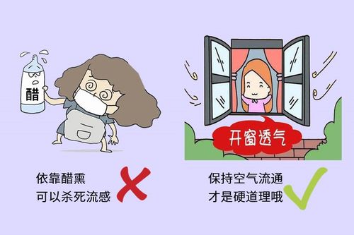 猪感冒与猪流感区别大，治疗需对症下药