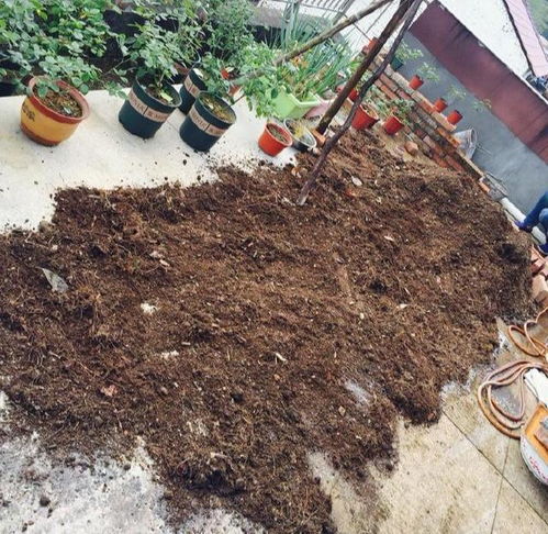 土壤杀虫，选对方法很重要