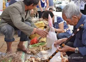 西南药材集市：颗粒饱满，价梗高