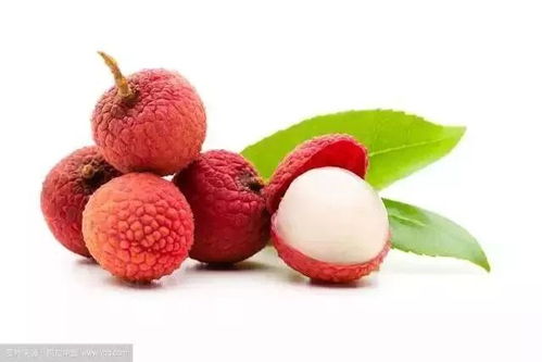 百菌清的使用注意事项