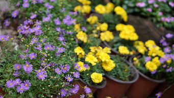 种植时有哪些避坑指南？