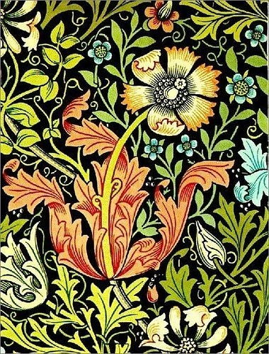 花朵：柔美如画的小姐