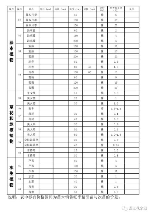 苗木报价大揭秘：100-200元间的苗木是啥？