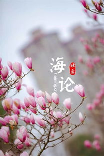 紫玉兰先开花，花中秘密是什么