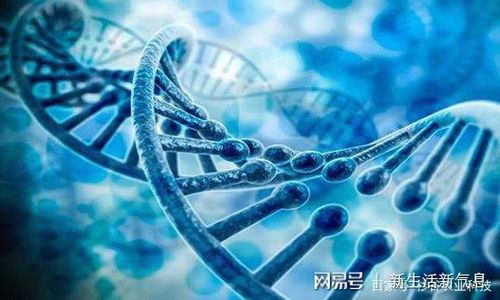 紫根兰核心基因，为何不开花之谜