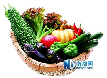 多样蔬菜，丰富你的餐桌
