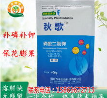 长效防治方法：灰霉病的克星