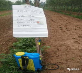 小麦田封闭药的选择大揭秘