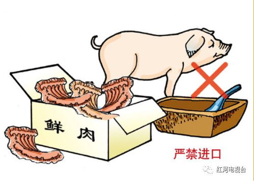 养猪疫（菌）苗使用