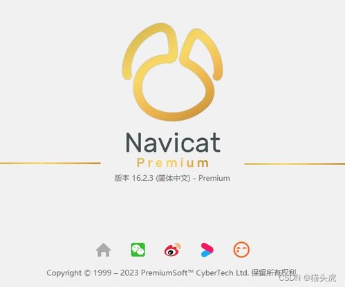 腐叶土制作方法详解，新手如何轻松掌握