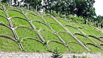 三：要正确匹配油烟净化器风量