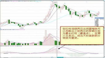 产地价差揭秘：为何同一个东西，价格差这么多？