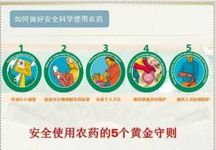 防治病虫害的技巧