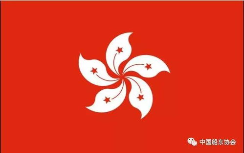 香港旗帜上的紫荆花和米字图案分别代表什么象征意义