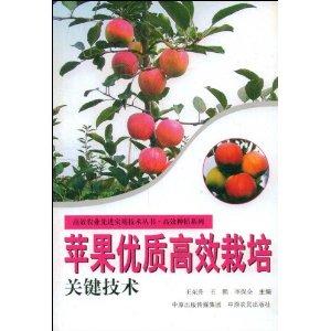 掌握养殖技巧：子孙球高效养殖全攻略