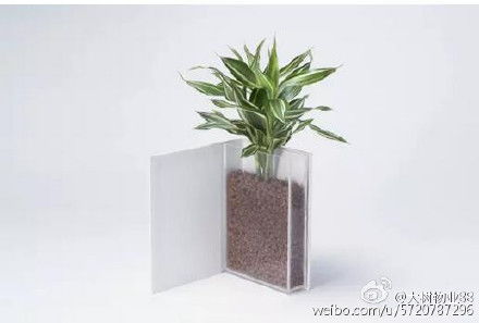 小贴士：盆底垫点鹅卵石