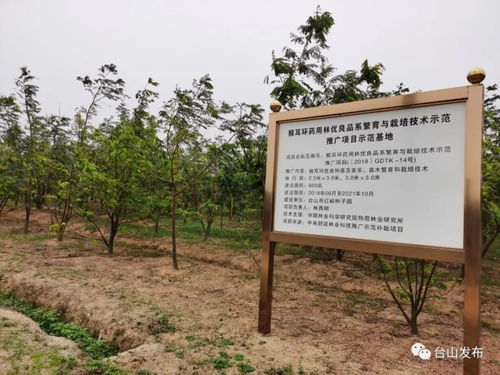 种子园是专门收集、保存和繁殖优良种子的基地